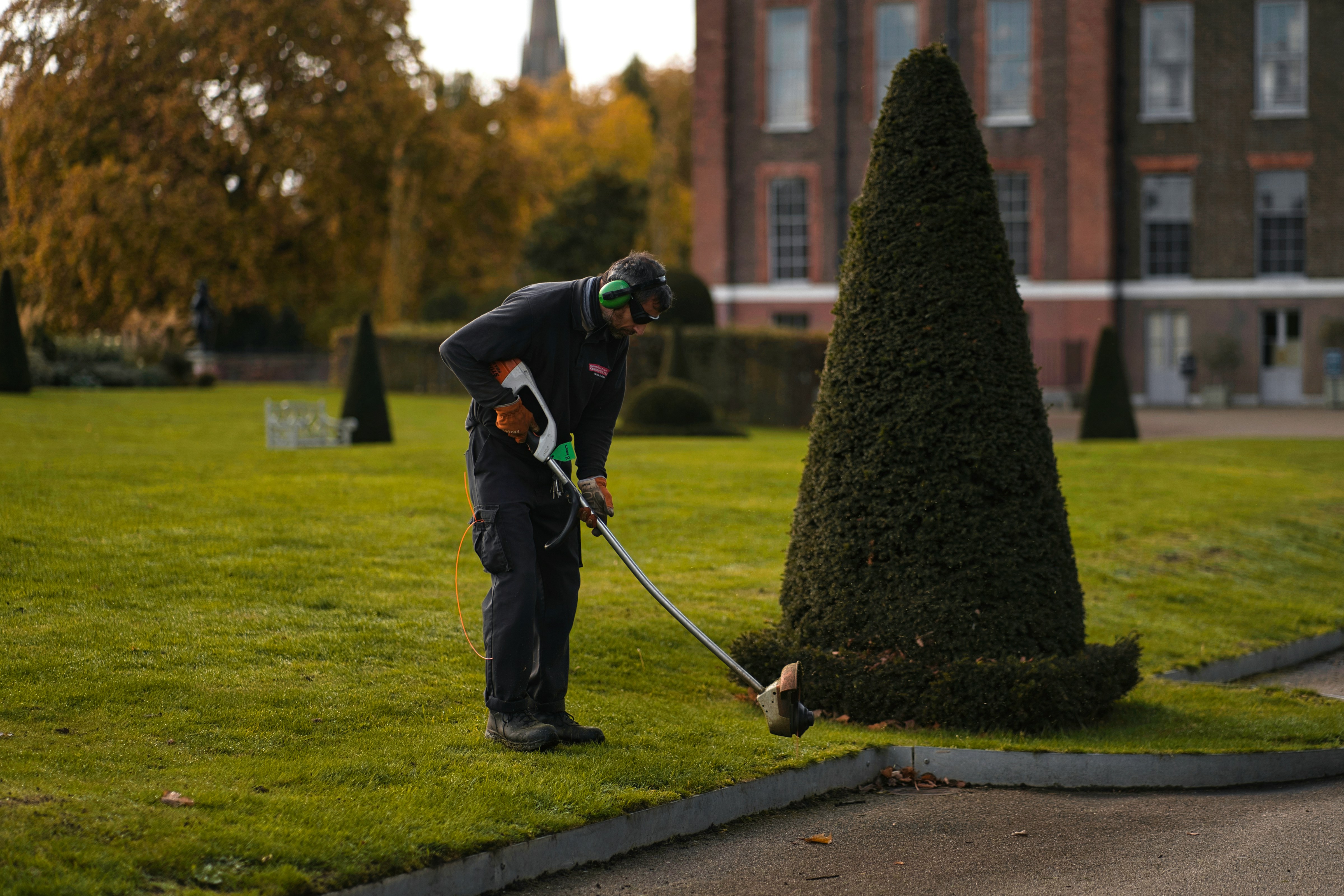 Yard Cleaning