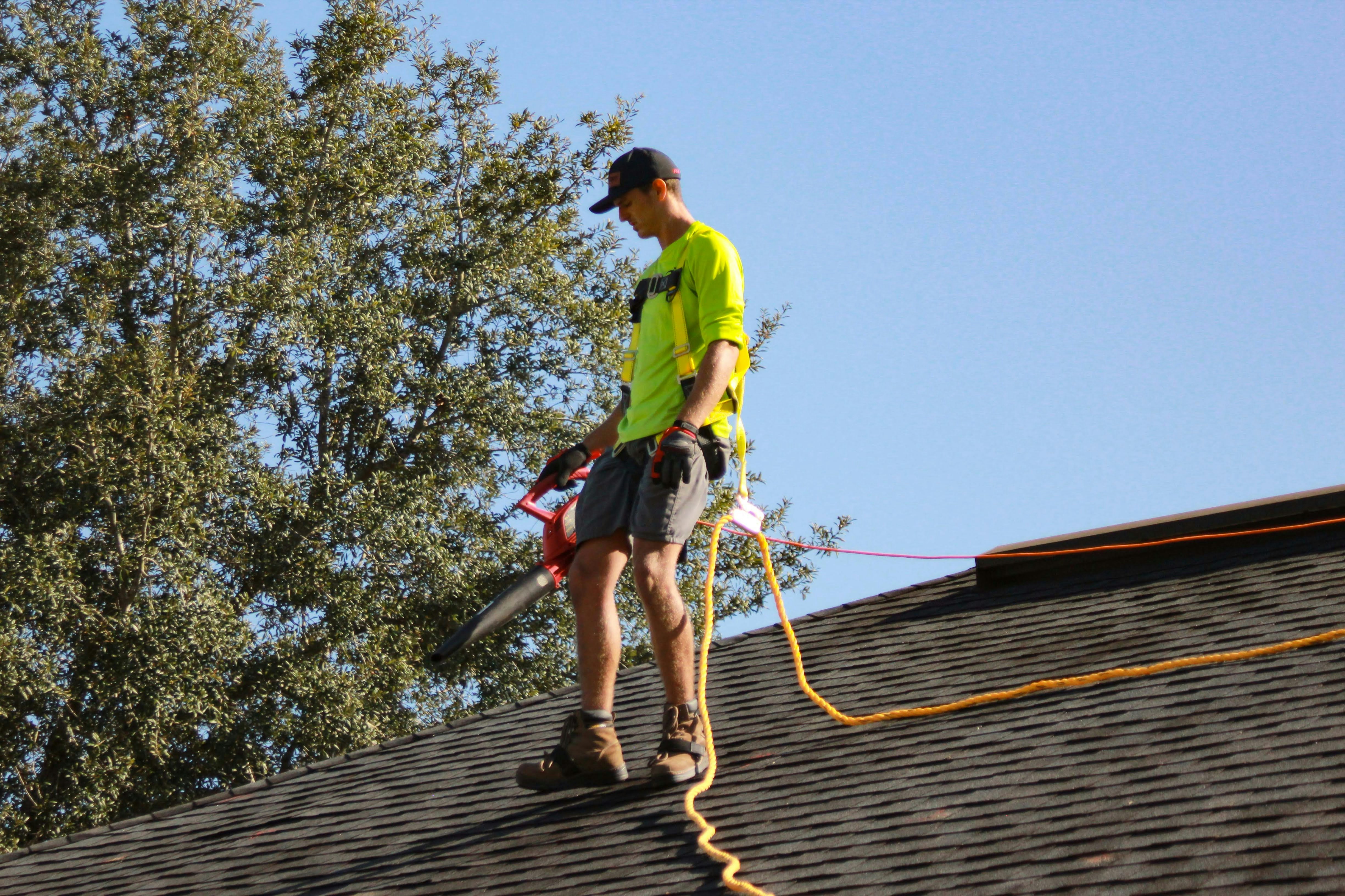 Gutter cleaning